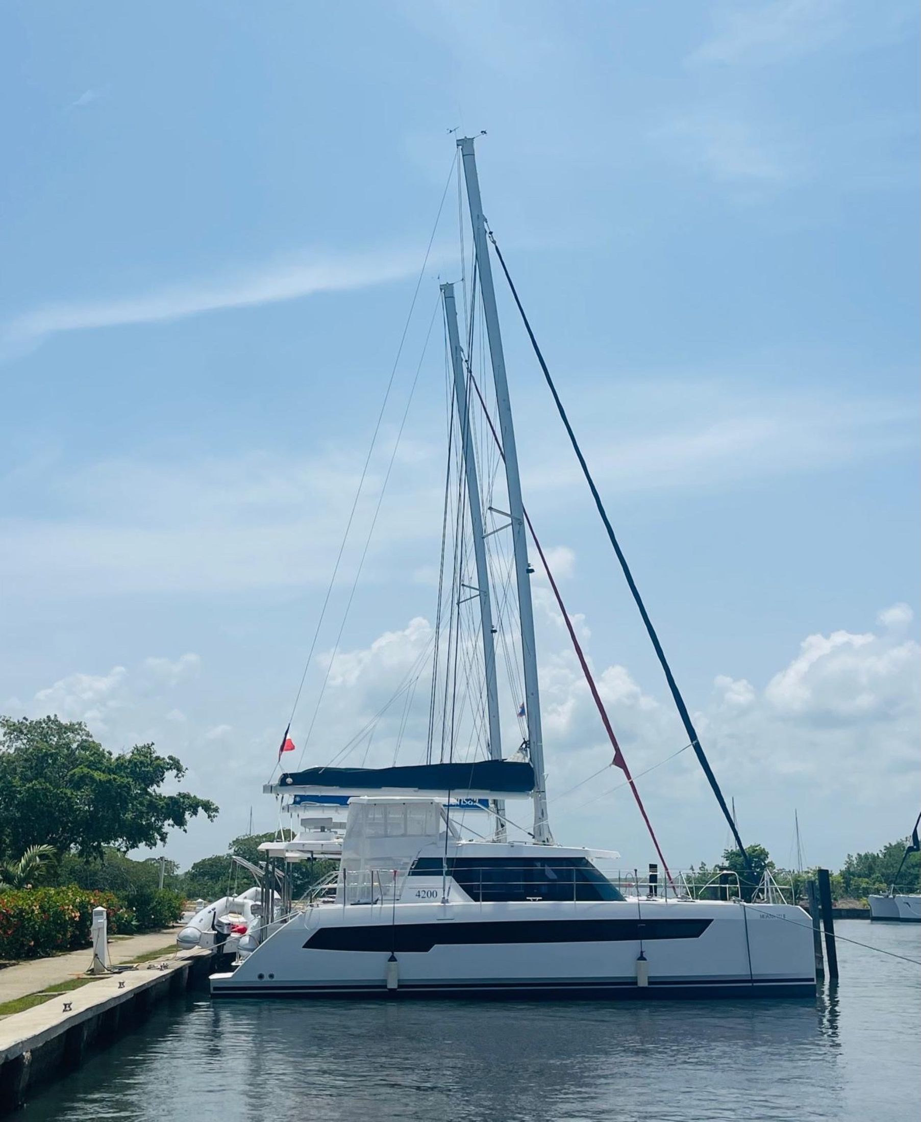 A white catamaran at anchor in front of a green island